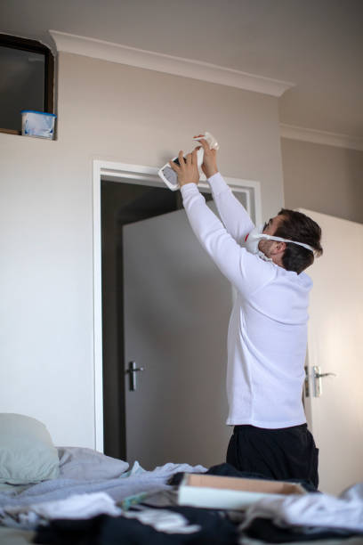Reliable Punaluu, HI Mold Removal Solutions