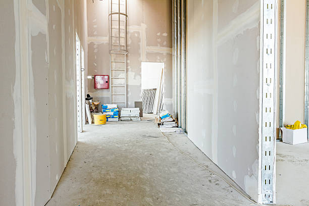 Best Black Mold Removal  in Punaluu, HI