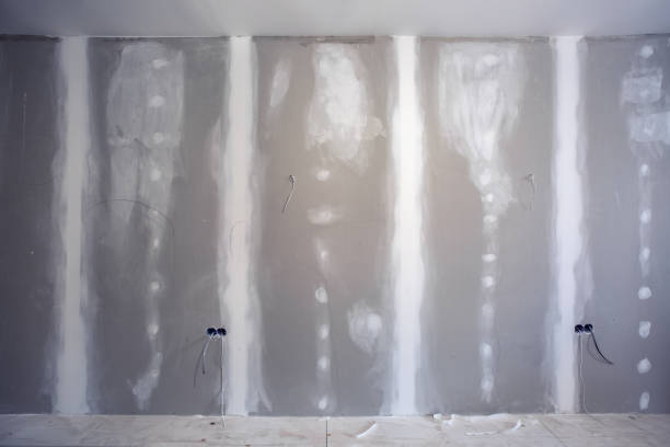 Best Dehumidification Services  in Punaluu, HI
